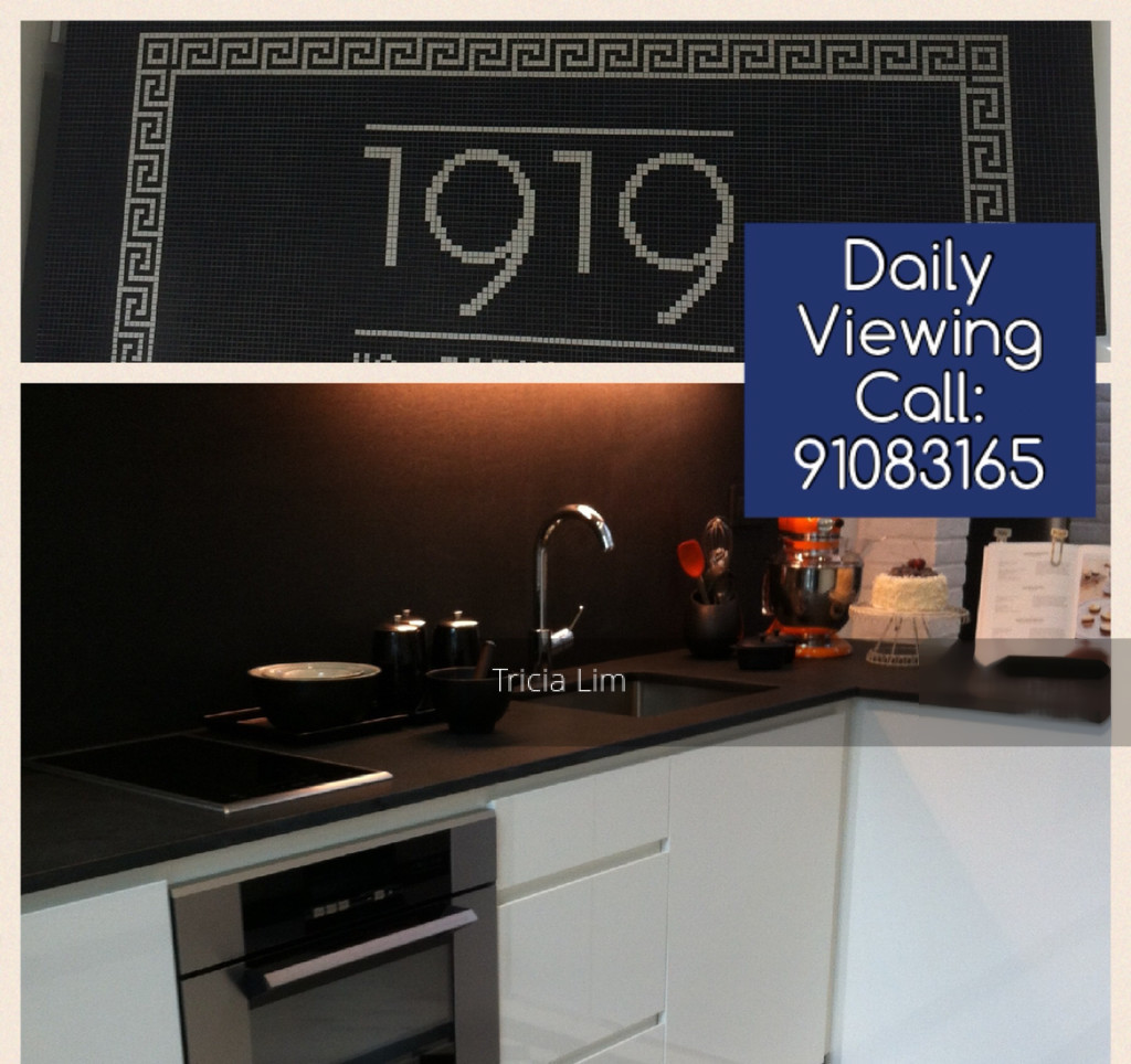 1919 (D9), Apartment #142999022